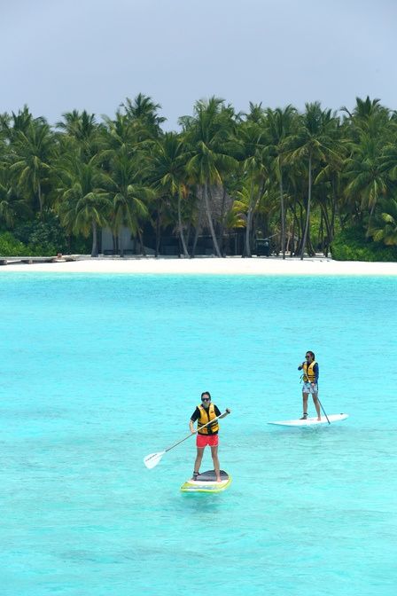 Stand up peddling in the water