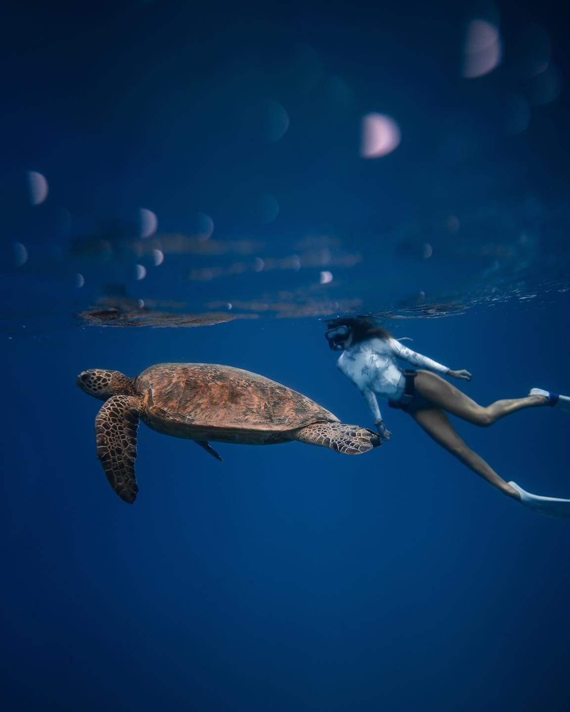 Snorkelling in the water