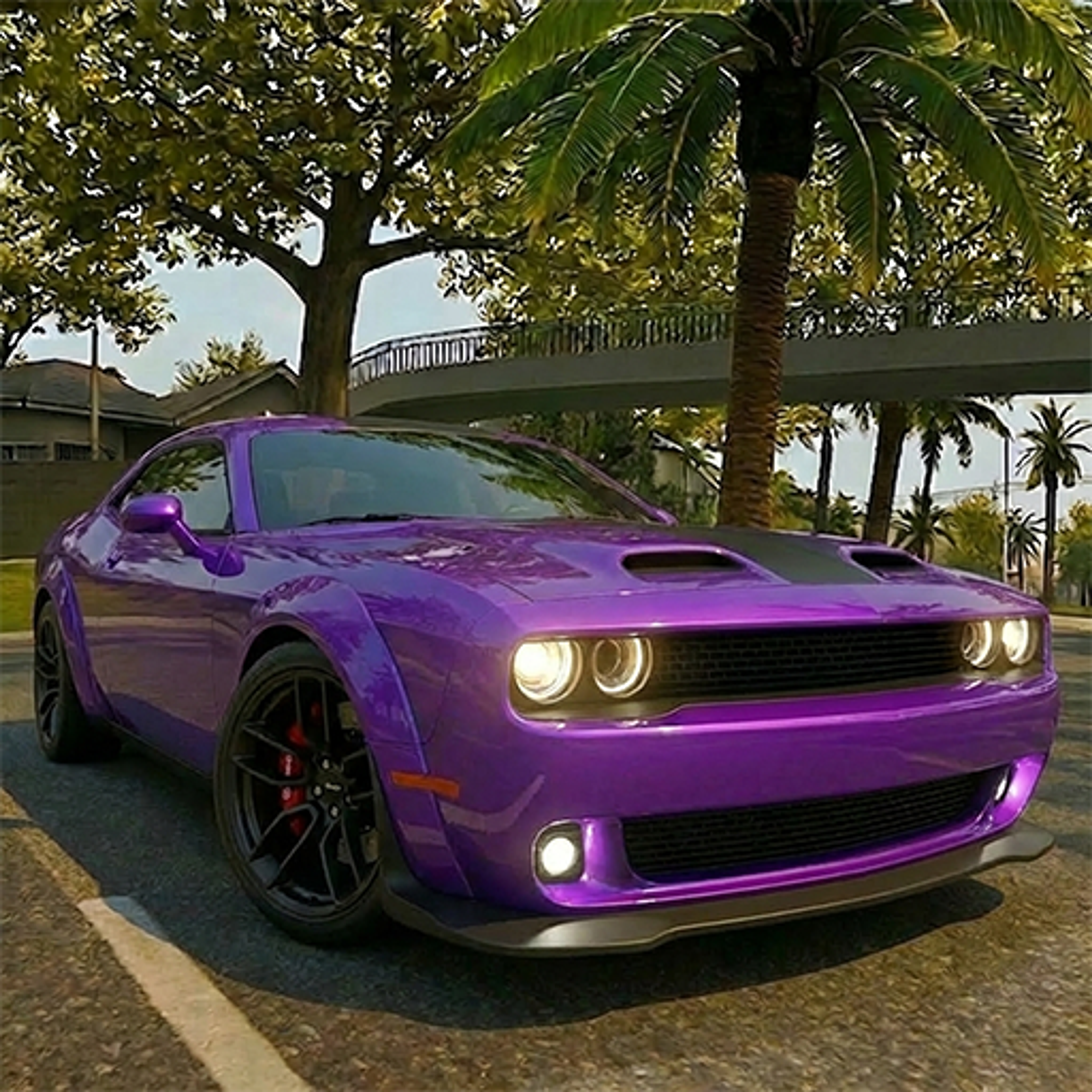 Fast & Grand