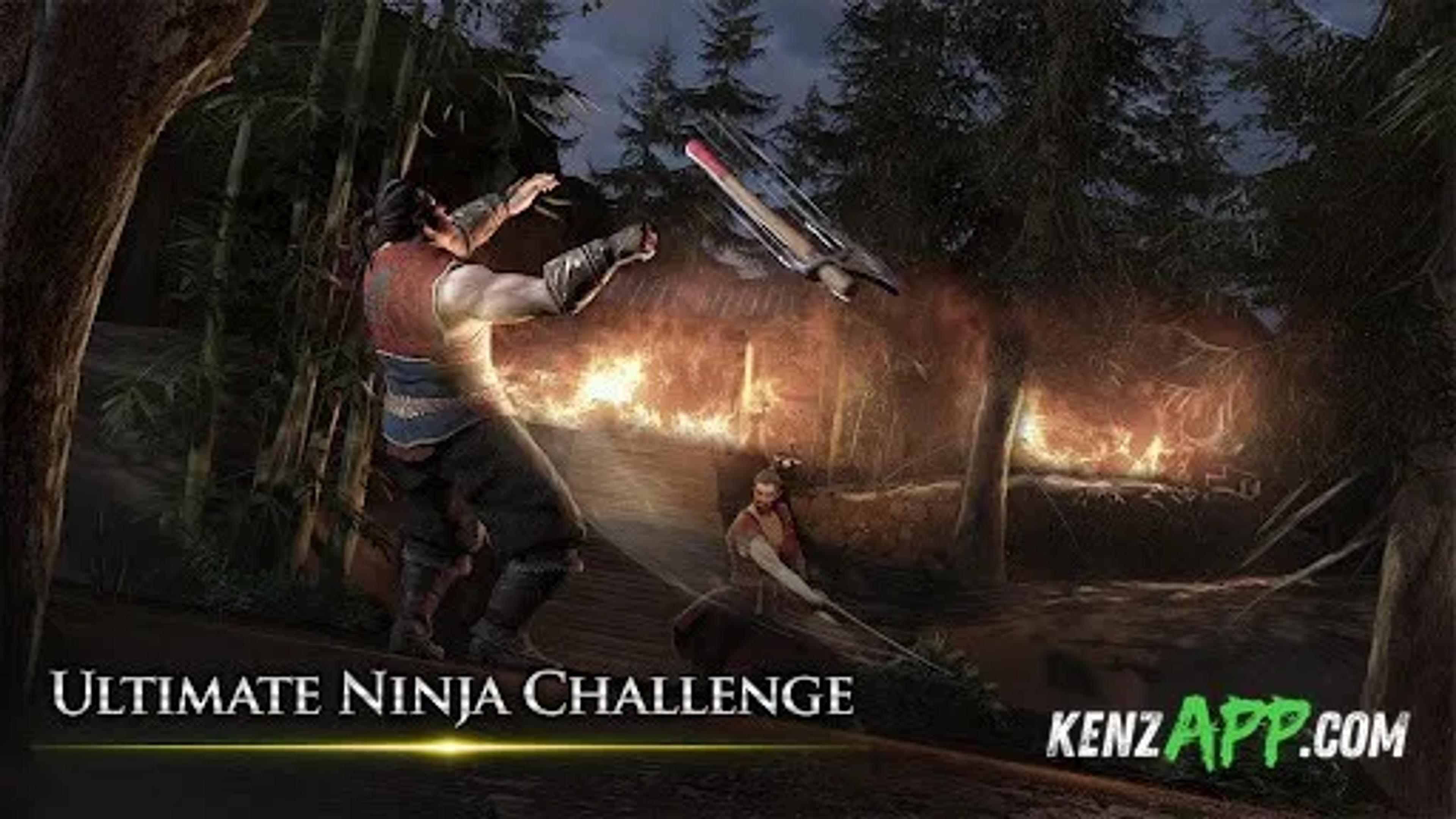 لقطة شاشة 3 من Takashi Ninja Samurai Game