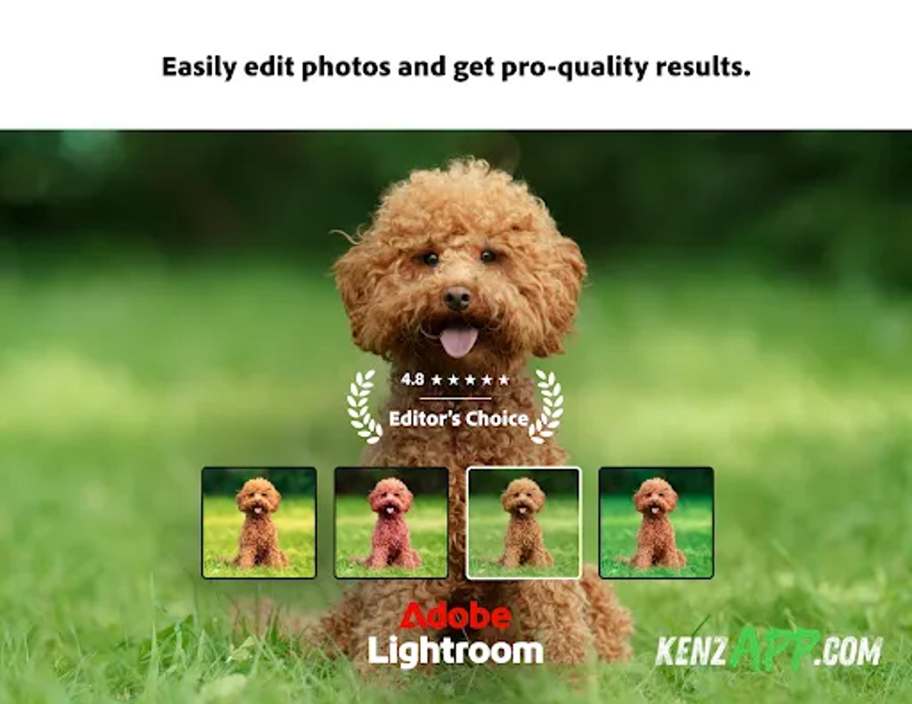 لقطة شاشة 1 من Lightroom Photo & Video Editor