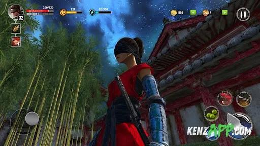لقطة شاشة 2 من Ninja Ryuko: Shadow Ninja Game