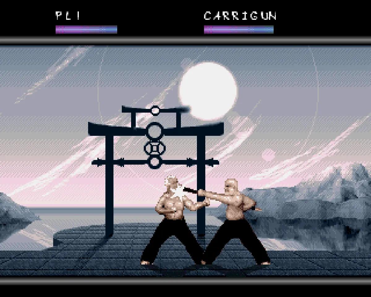 Full Contact su Amiga, gioco Team17 con musiche di Allister Brimble