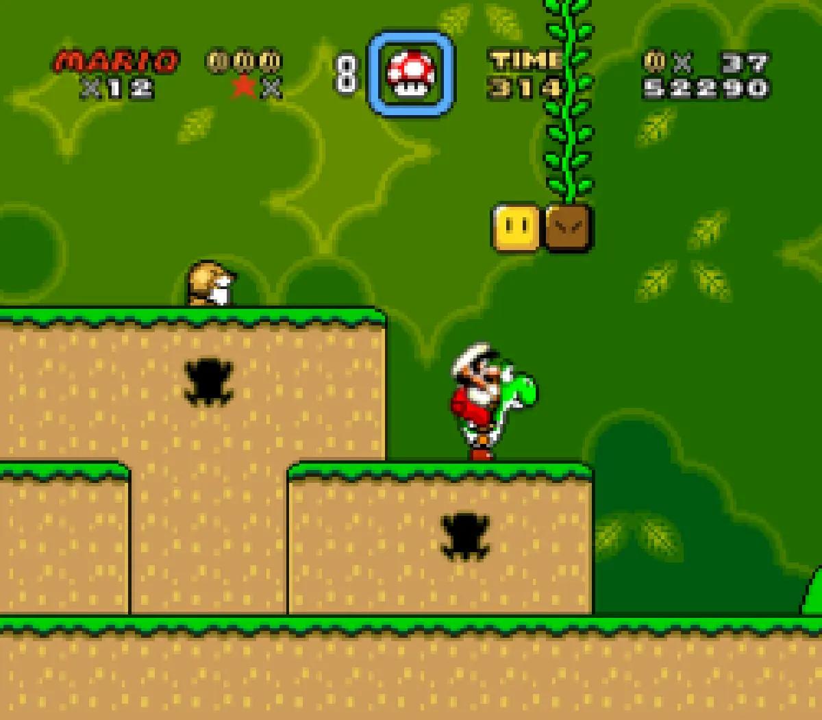Super Mario World
