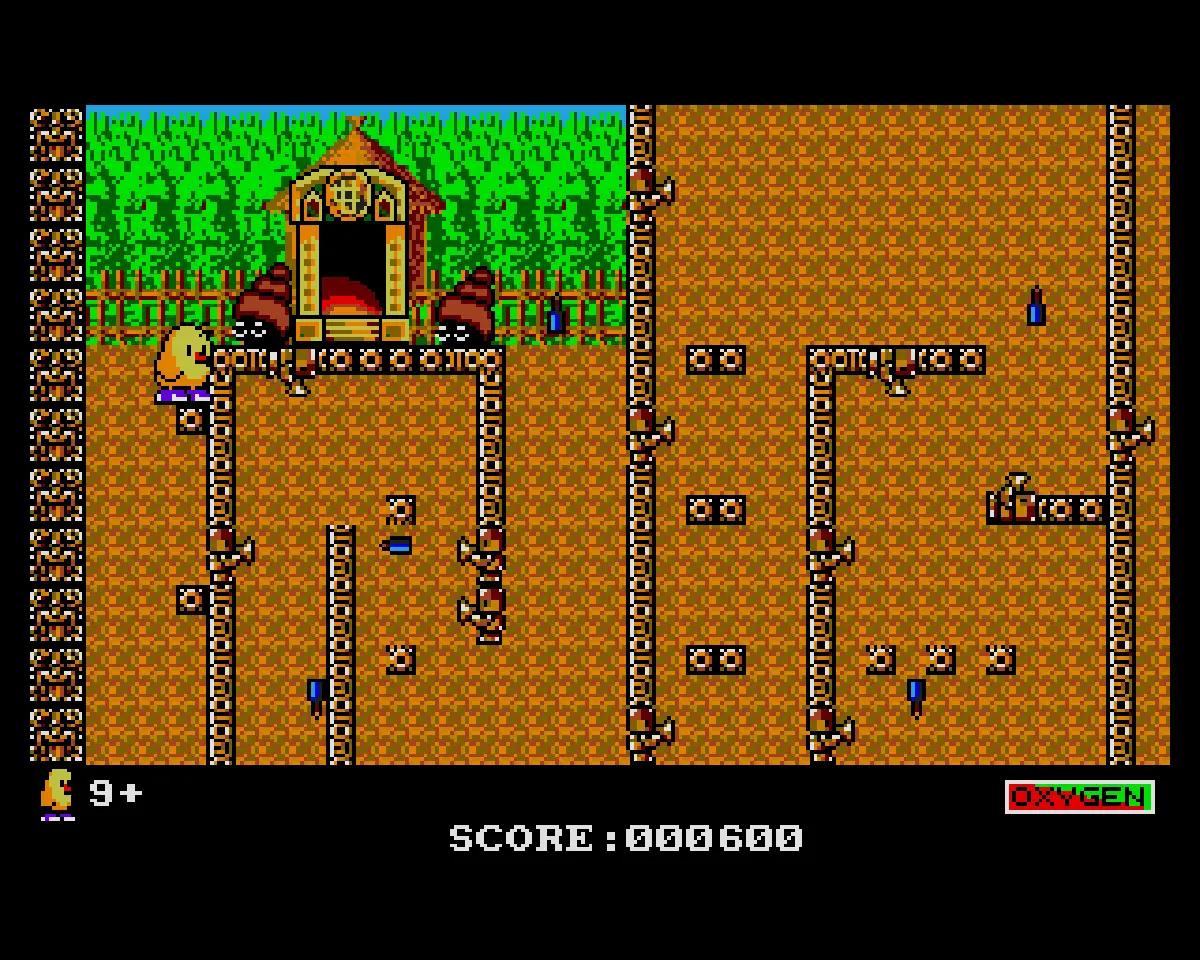 The NewZealand Story su Amiga con il kiwi protagonista in uno scenario platform colorato.