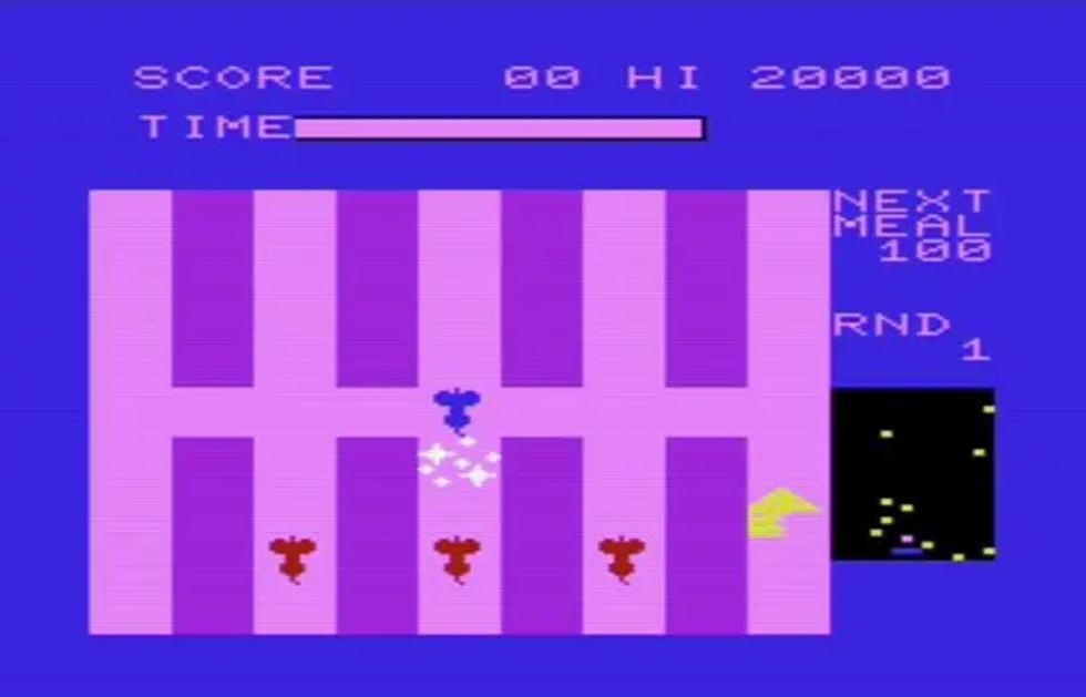 Commodore PET VIC 20 commodore 16 commodore 128 radarvrat race