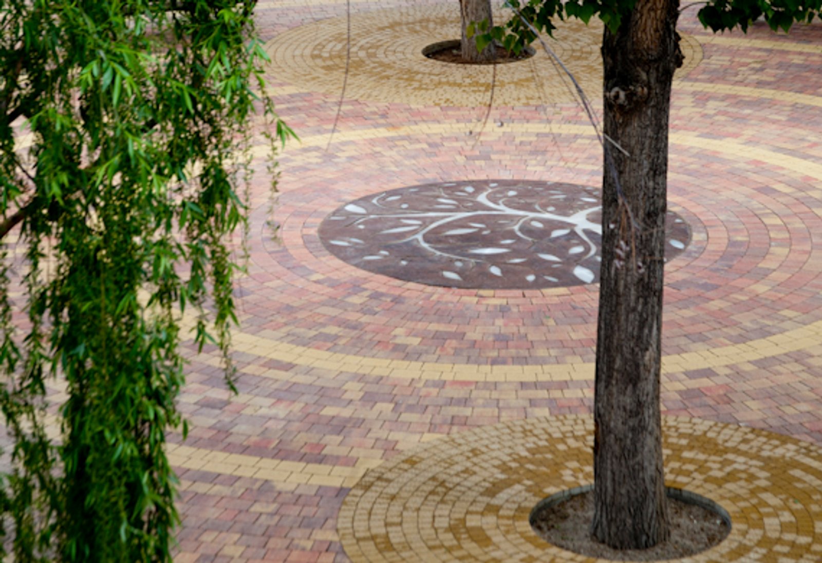 Un patio empedrado con un árbol, visto desde arriba