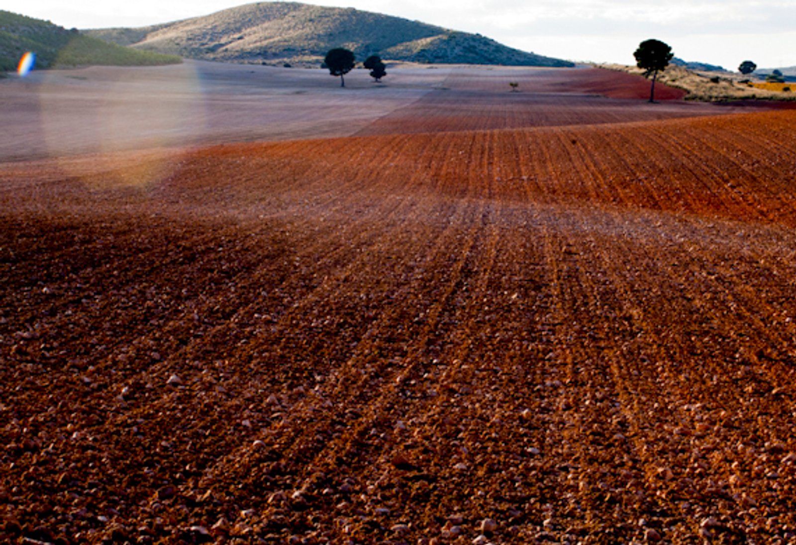 Un campo de labor recién arado, con la sierra al fondo
