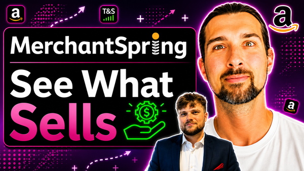 How to Analyze Large Amazon Product Catalogs with MerchantSpring