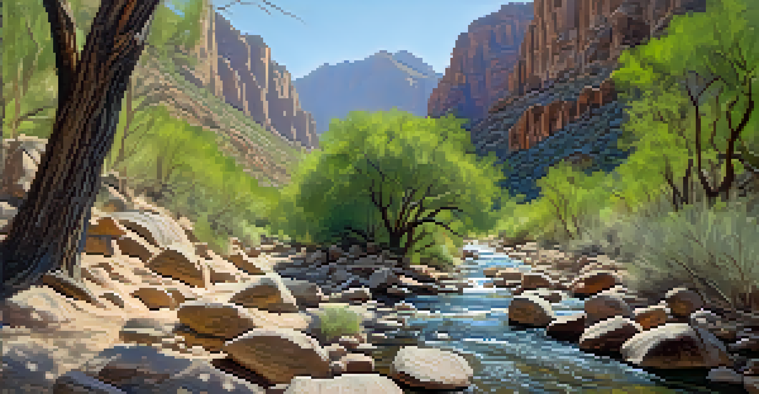 Hikers on a scenic trail in Sabino Canyon with a flowing creek and lush greenery.