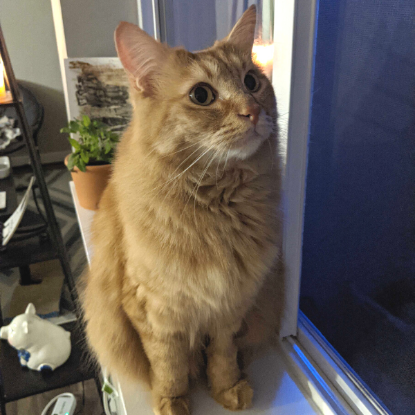Henry
