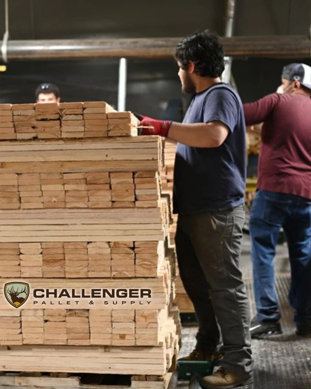 Workers stacking lumber at Challenger Pallet & Supply