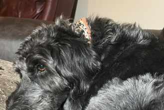 Susan