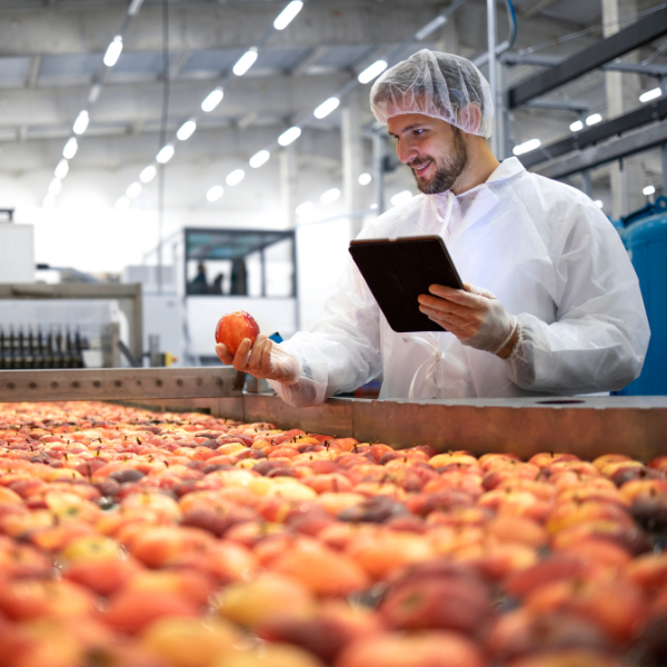 Worker inspecting agricultural produce in a manufacturing facility