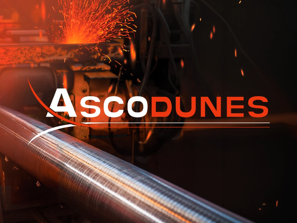 Ascodunes