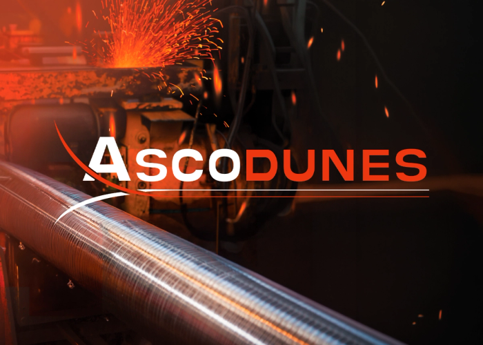 Ascodunes