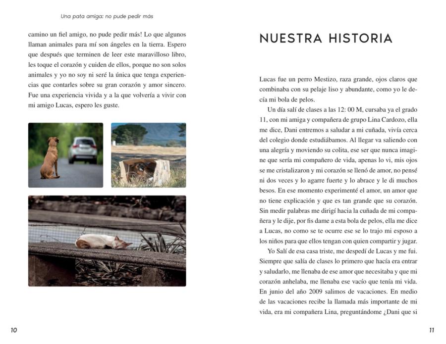 Páginas 10 y 11 de «Una Pata Amiga»: página ilustrada