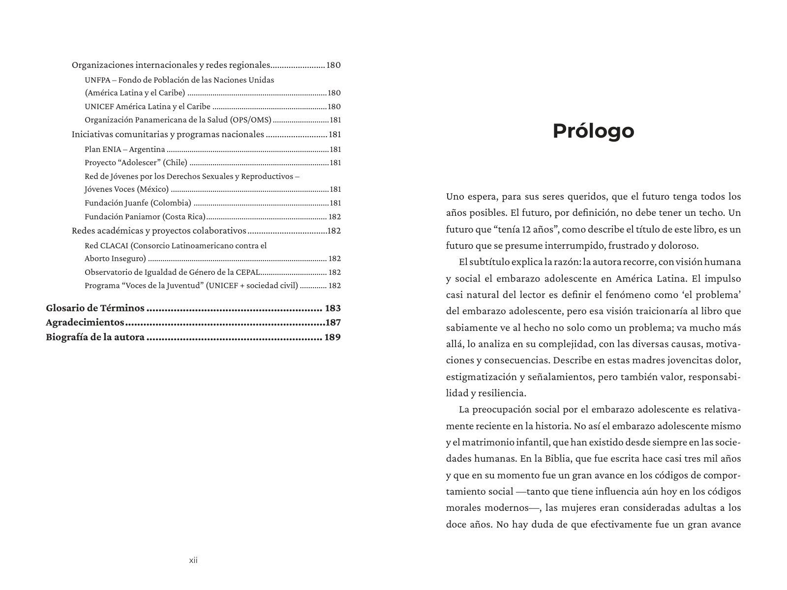Páginas 12 y 13 de «El Futuro Tenía 12 años»: apertura de capítulo