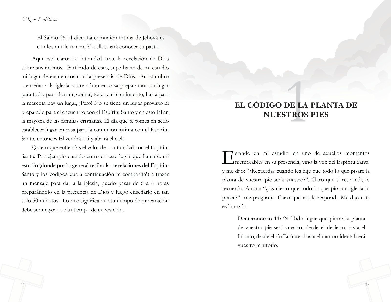 Páginas 22 y 23 de «Códigos Proféticos»