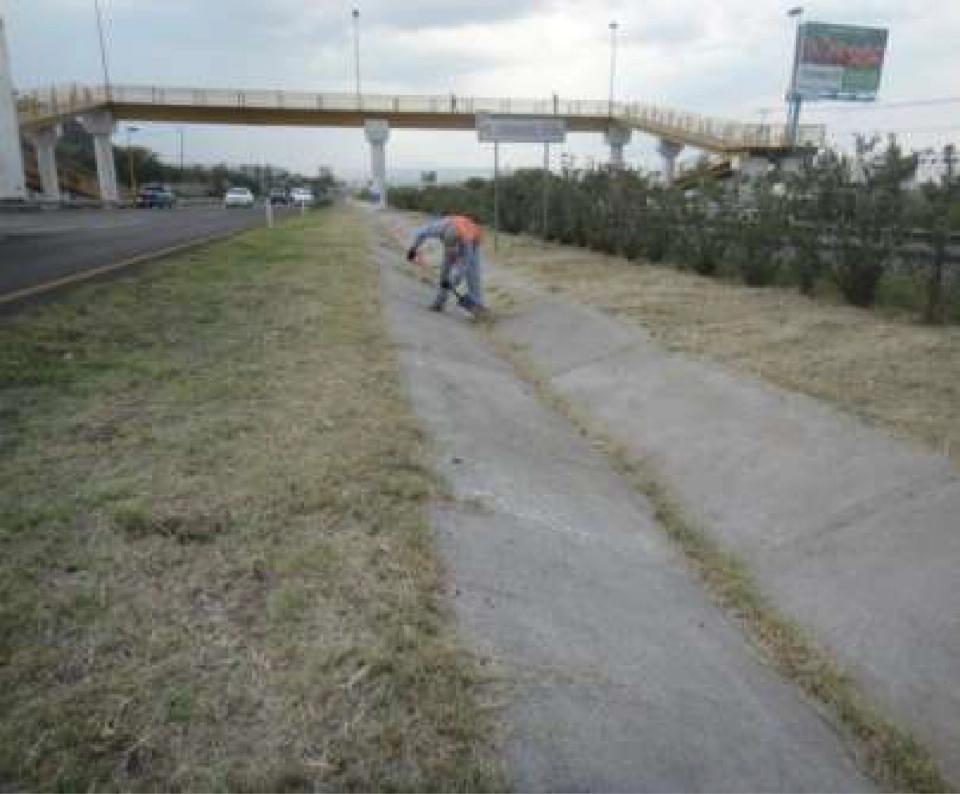 Trabajador realizando mantenimiento de vegetación junto a una vialidad.