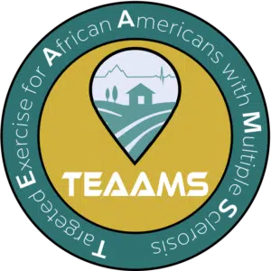 The TEAAMS logo