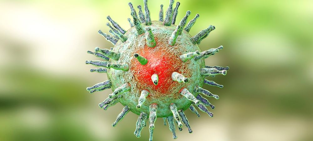 Depiction of Epstein-Barr virus