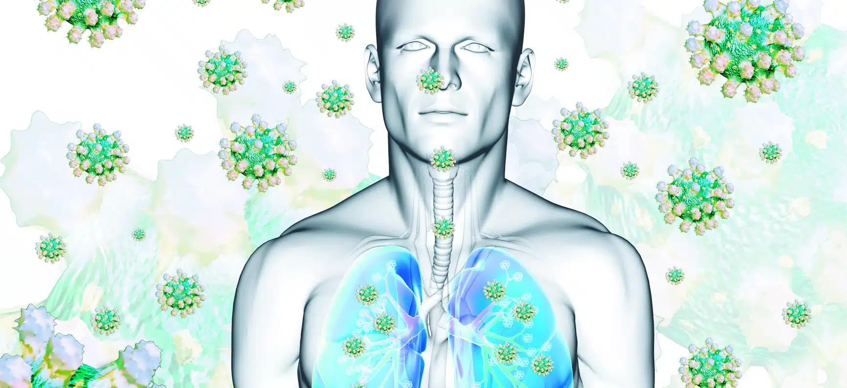 3D model of a human person by a virus
