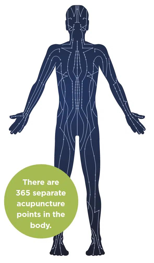 A chart detailing the 365 acupuncture points in the human body.