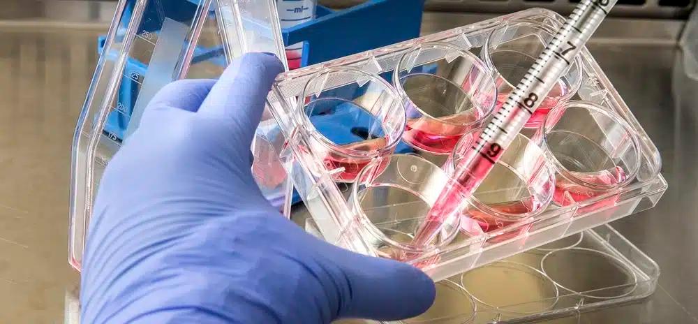 Scientist with test tube