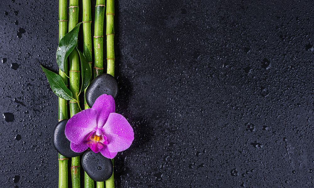 Unlocking the Secrets of Bamboo for Beautiful Skin
