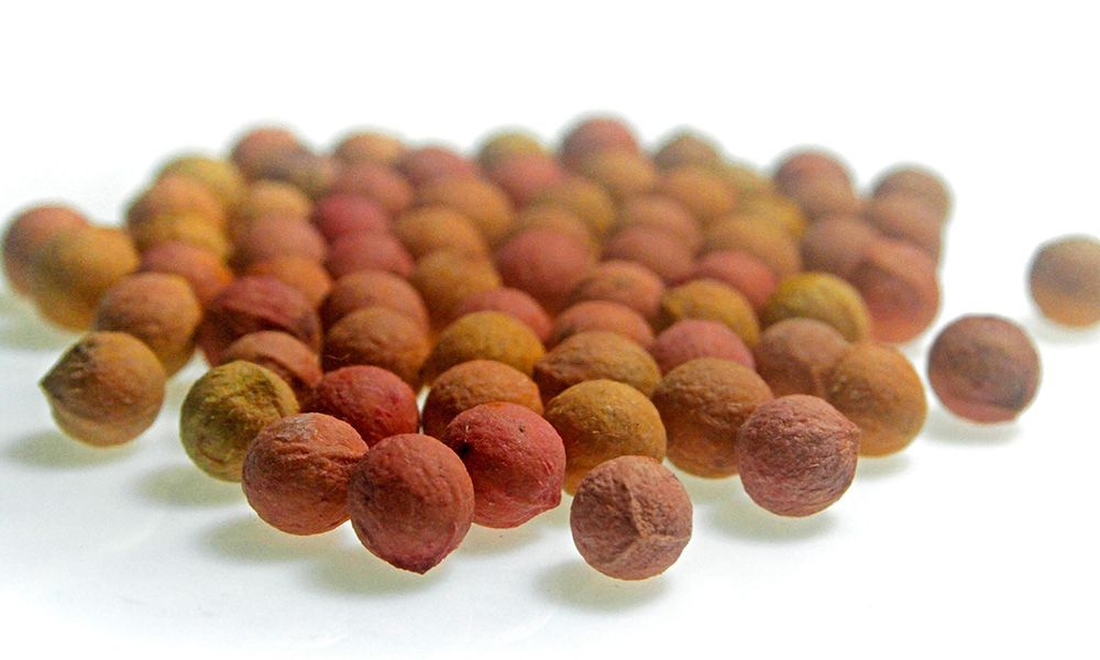 Sandalwood Seed Oil: The Anti-Inflammatory Powerhouse Your Skin Deserves