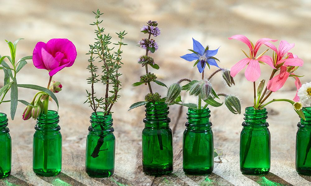 Thyme Oil: The Key to Vibrant Skin