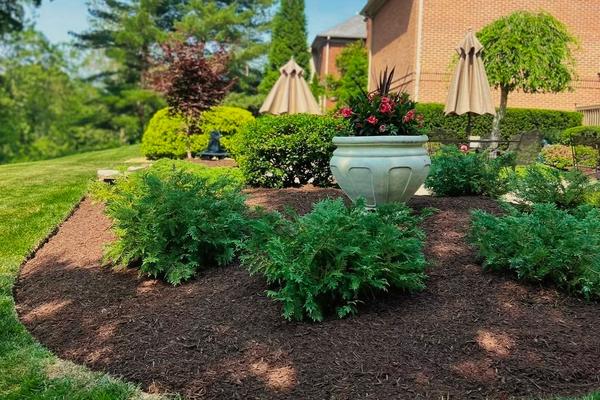 Enhancements & Designing