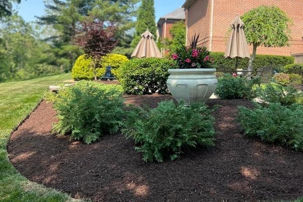 Enhancements & Designing