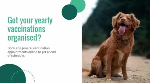 Veterinary Pet Vaccination Reminder