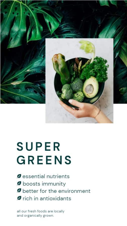 Organic Food Store Promotional