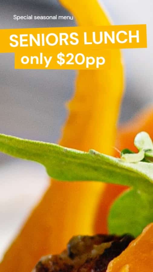 Seniors Lunch Special Seasonal Menu