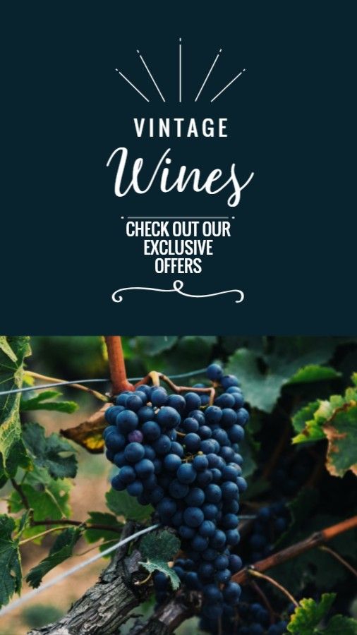 Vintage Wine Exclusive Offer Promo
