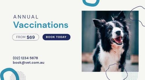 Pet Vaccination Reminder