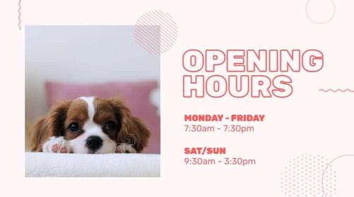 Veterinary Clinic Opening Hours