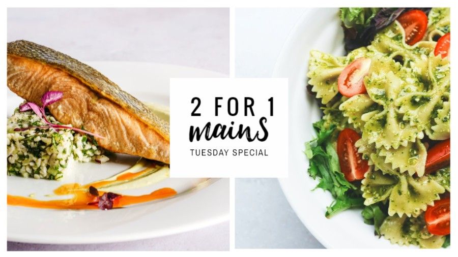 Restaurant Special Promo