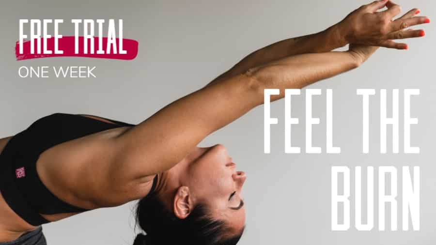 Gym Free Trial Offer