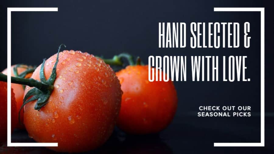 Supermarket Fresh Produce Promotional