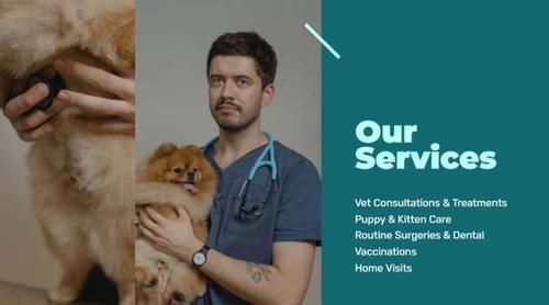 Vet Clinic Services