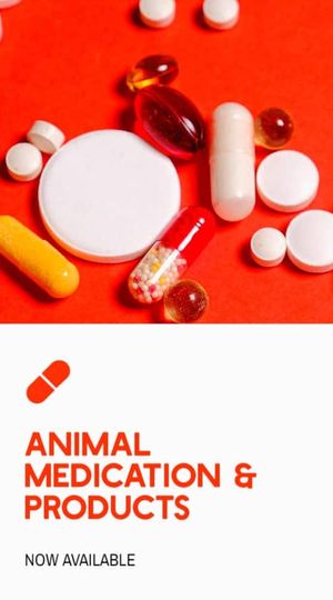 Animal Treatment
