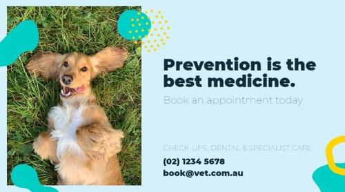 Veterinary Clinic Promo