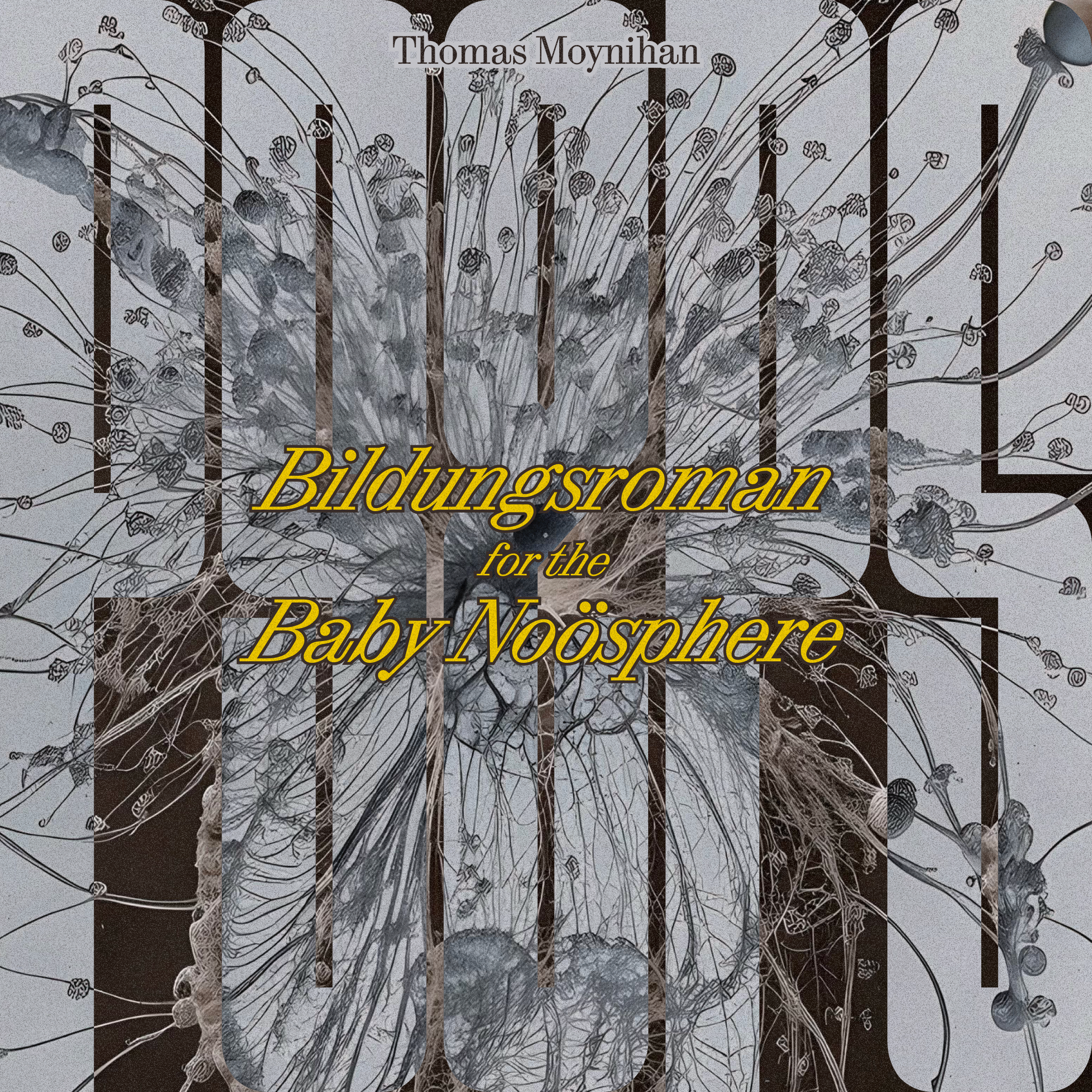 Planetary Sapience & Planetary Stupidity: a Bildungsroman for the Baby Noosphere