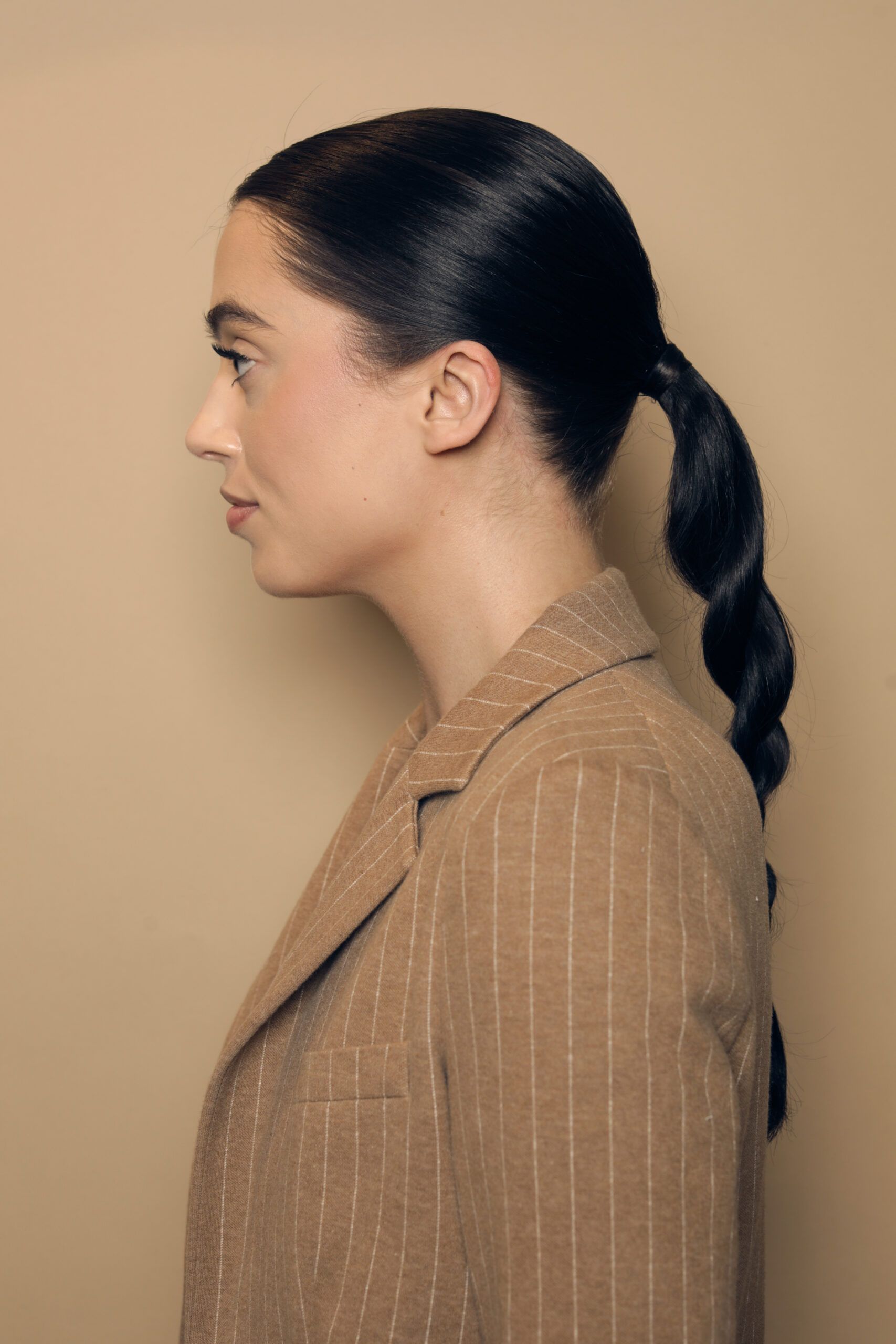 ponytail twist