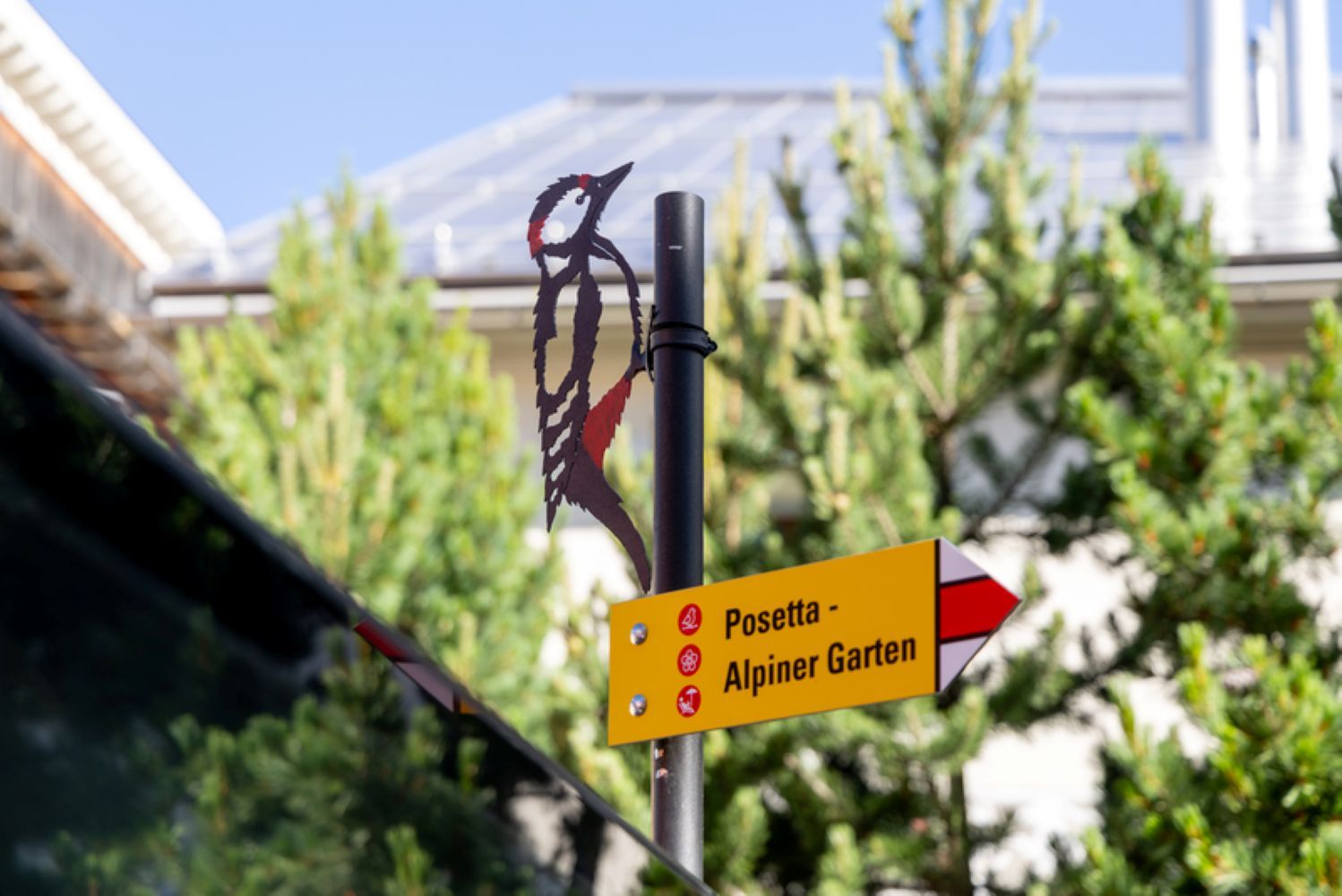Copyright: Pontresina Tourismus