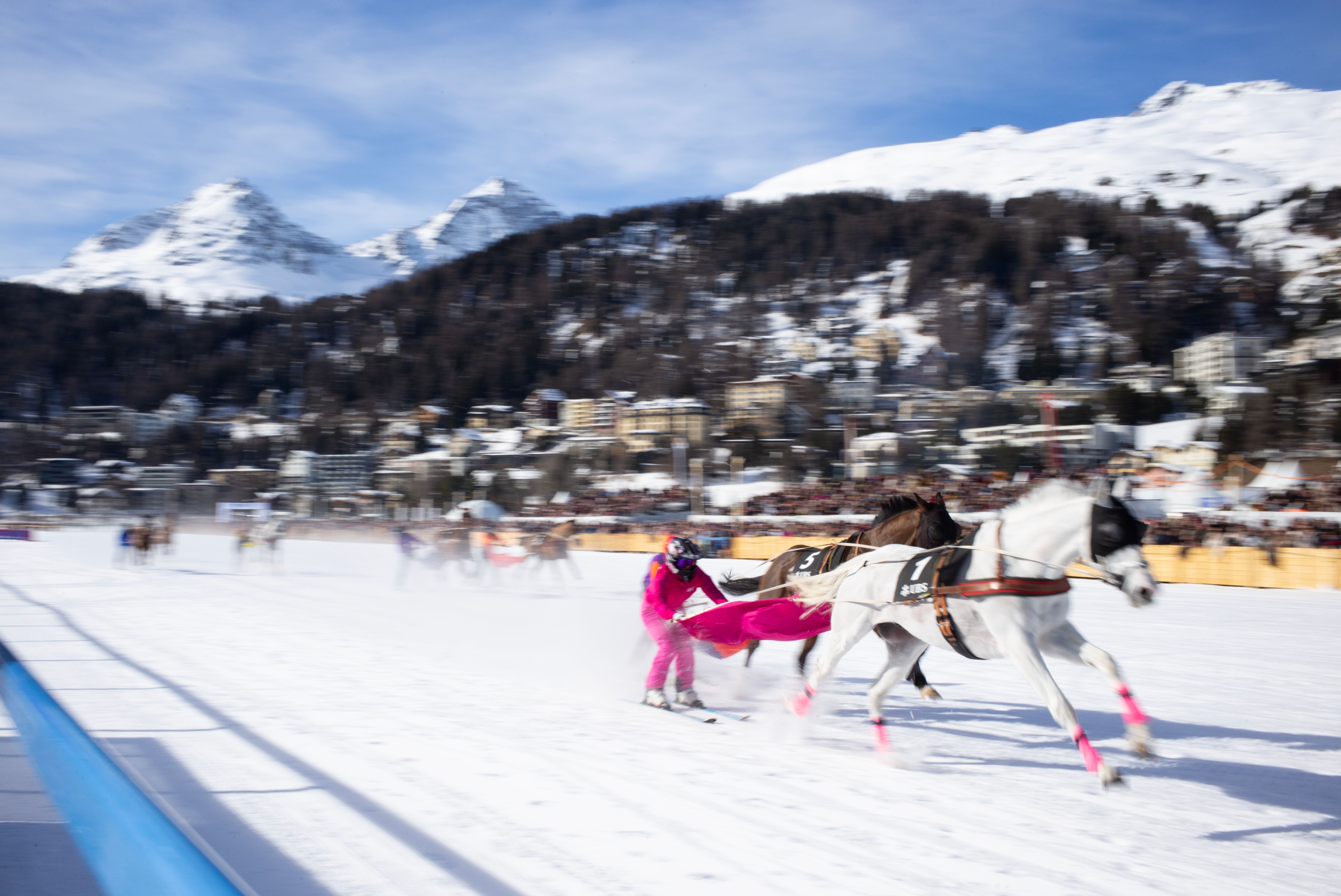 Horsing Around – Pferdestärken auf Eis